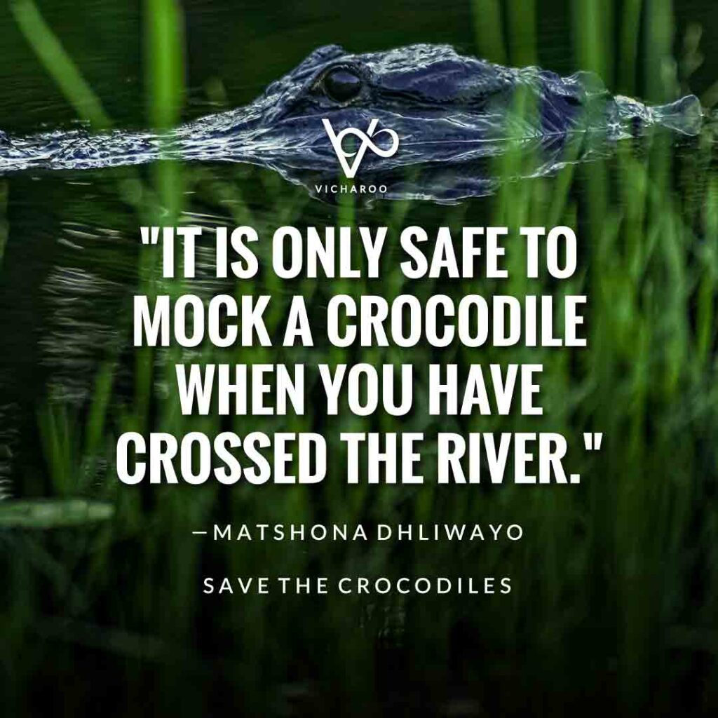 It is only safe to mock a crocodile when you have crossed the river. — Matshona Dhliwayo | Save Crocodiles Slogans and Quotes | World Crocodile Day | National Gator / Alligator Day