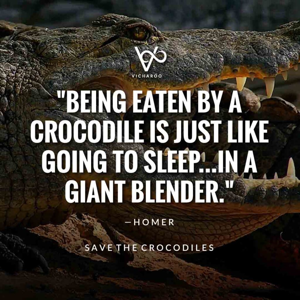 Being eaten by a crocodile is just like going to sleep...in a giant blender. — Homer | Save Crocodiles Slogans and Quotes | World Crocodile Day | National Gator / Alligator Day