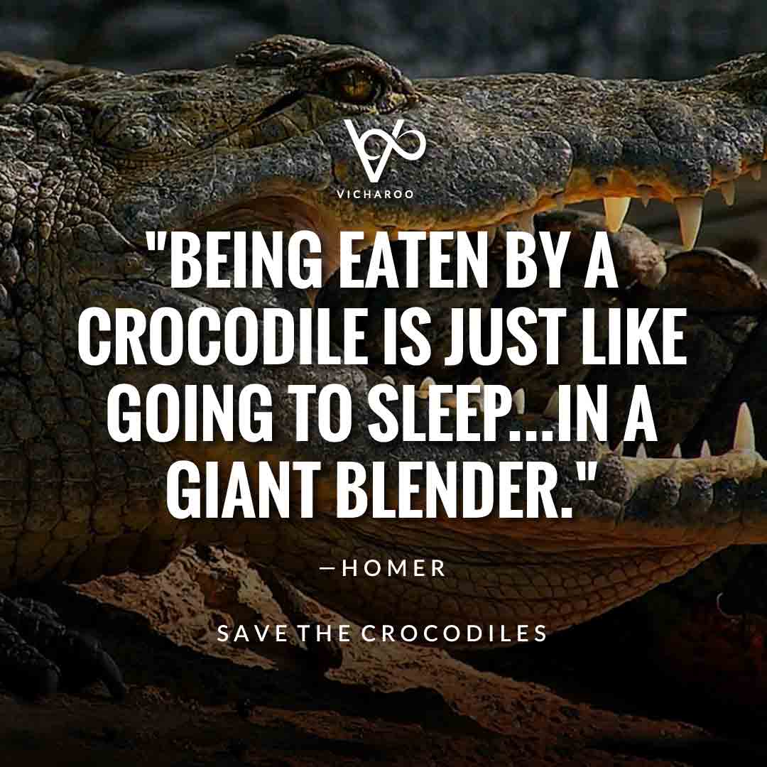 Being eaten by a crocodile is just like going to sleep...in a giant blender. — Homer | Save Crocodiles Slogans and Quotes | World Crocodile Day | National Gator / Alligator Day