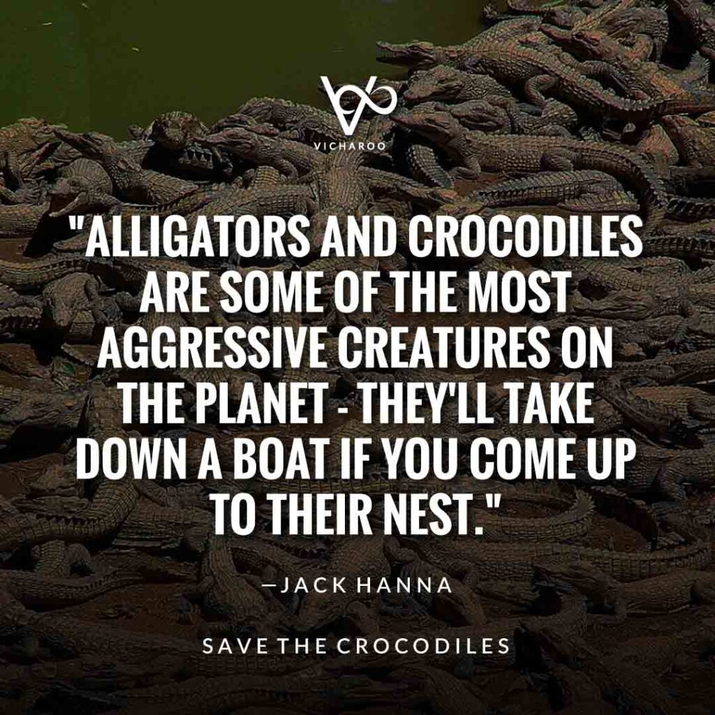 Alligators and crocodiles are some of the most aggressive creatures on the planet - they'll take down a boat if you come up to their nest. — Jack Hanna | Save Crocodiles Slogans and Quotes | World Crocodile Day | National Gator / Alligator Day