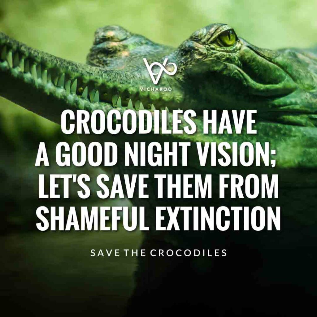 Crocodiles have a good night vision; let's save them from shameful extinction | Save Crocodiles Slogans and Quotes | World Crocodile Day | National Gator / Alligator Day