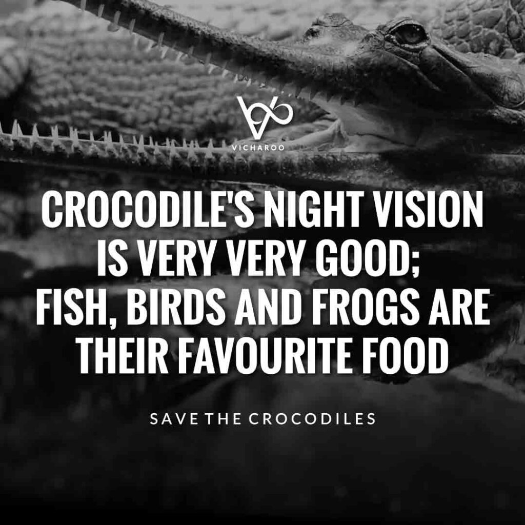 Crocodile's night vision is very very good; fish, birds and frogs are their favourite food | Save Crocodiles Slogans and Quotes | World Crocodile Day | National Gator / Alligator Day