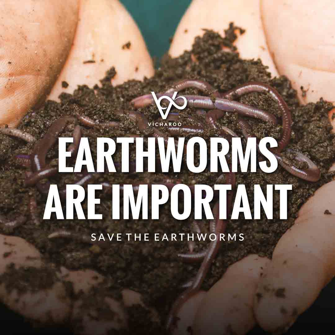Earthworms are important | Save Earthworms Slogans and Quotes | World Earthworm Day