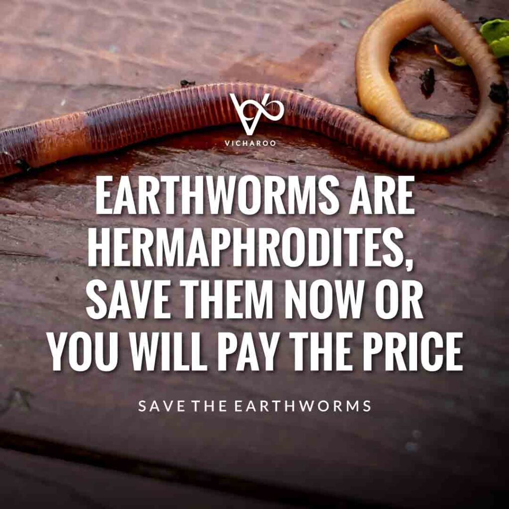 Earthworms are hermaphrodites, save them now or you will pay the price | Save Earthworms Slogans and Quotes | World Earthworm Day