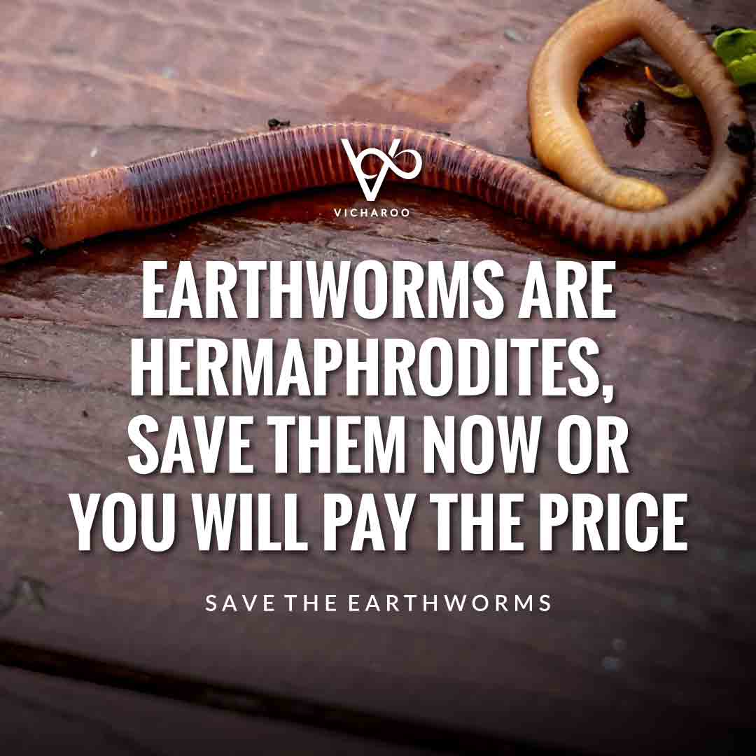Earthworms are hermaphrodites, save them now or you will pay the price | Save Earthworms Slogans and Quotes | World Earthworm Day