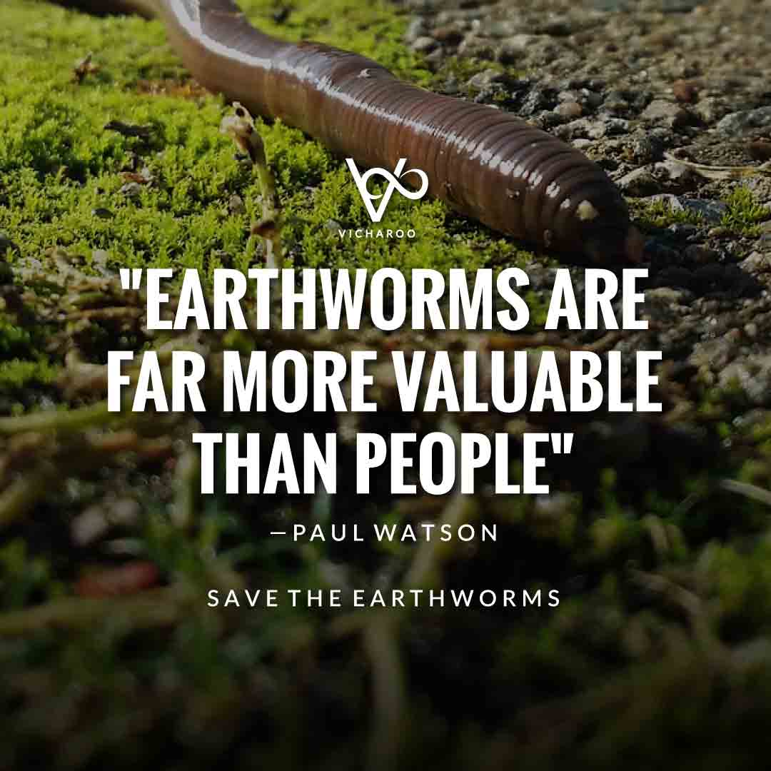 Earthworms are far more valuable than people — Paul Watson | Save Earthworms Slogans and Quotes | World Earthworm Day
