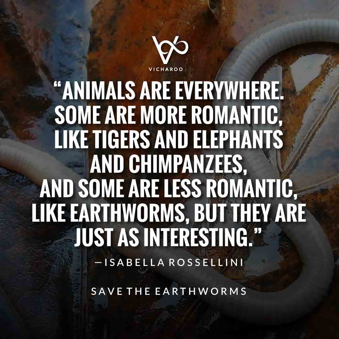 Animals are everywhere. Some are more romantic, like tigers and elephants and chimpanzees, and some are less romantic, like earthworms, but they are just as interesting.— Isabella Rossellini | Save Earthworms Slogans and Quotes | World Earthworm Day