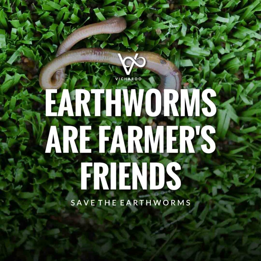 Earthworms are farmer's friends | Save Earthworms Slogans and Quotes | World Earthworm Day