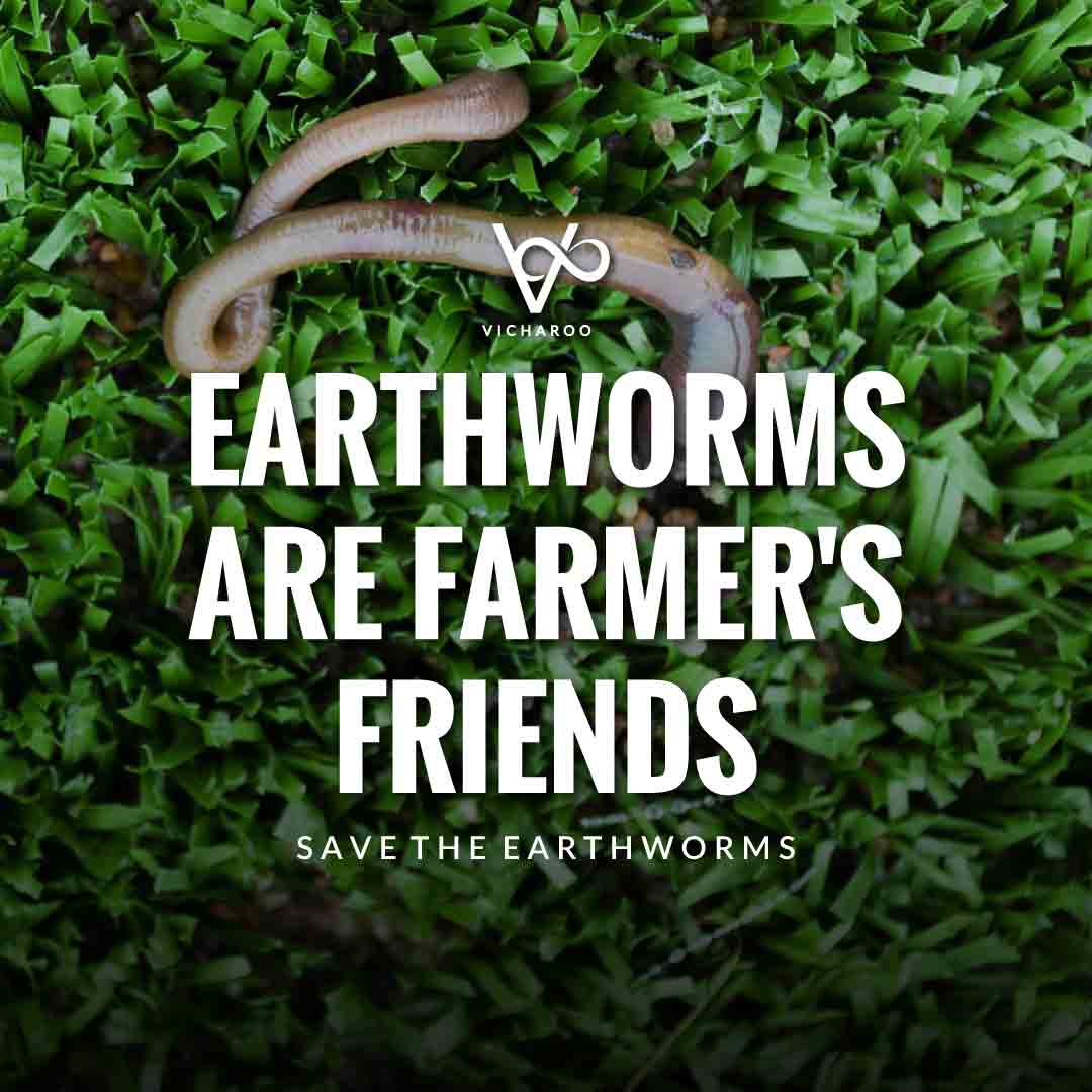 Earthworms are farmer's friends | Save Earthworms Slogans and Quotes | World Earthworm Day