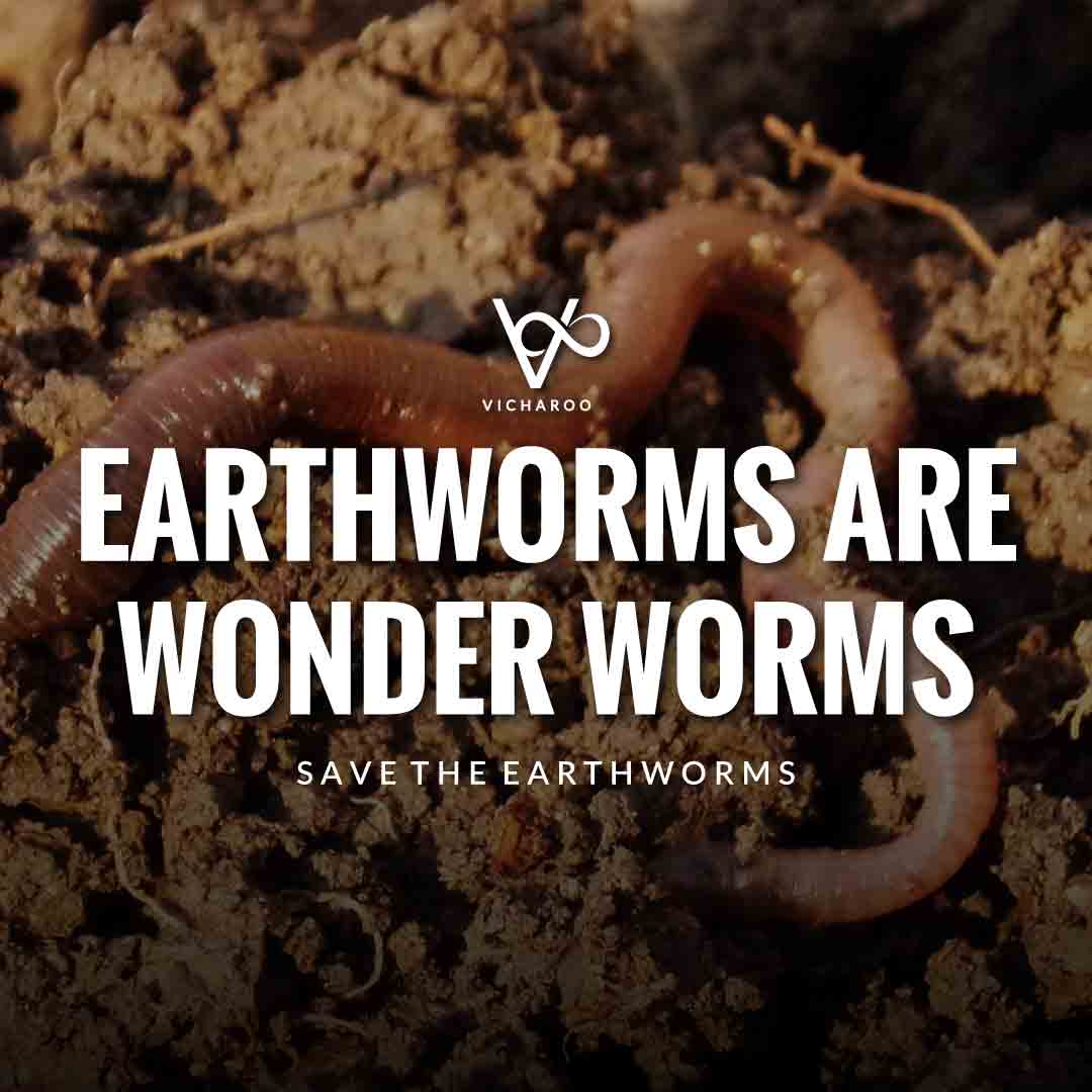Earthworms are Wonder Worms | Save Earthworms Slogans and Quotes | World Earthworm Day