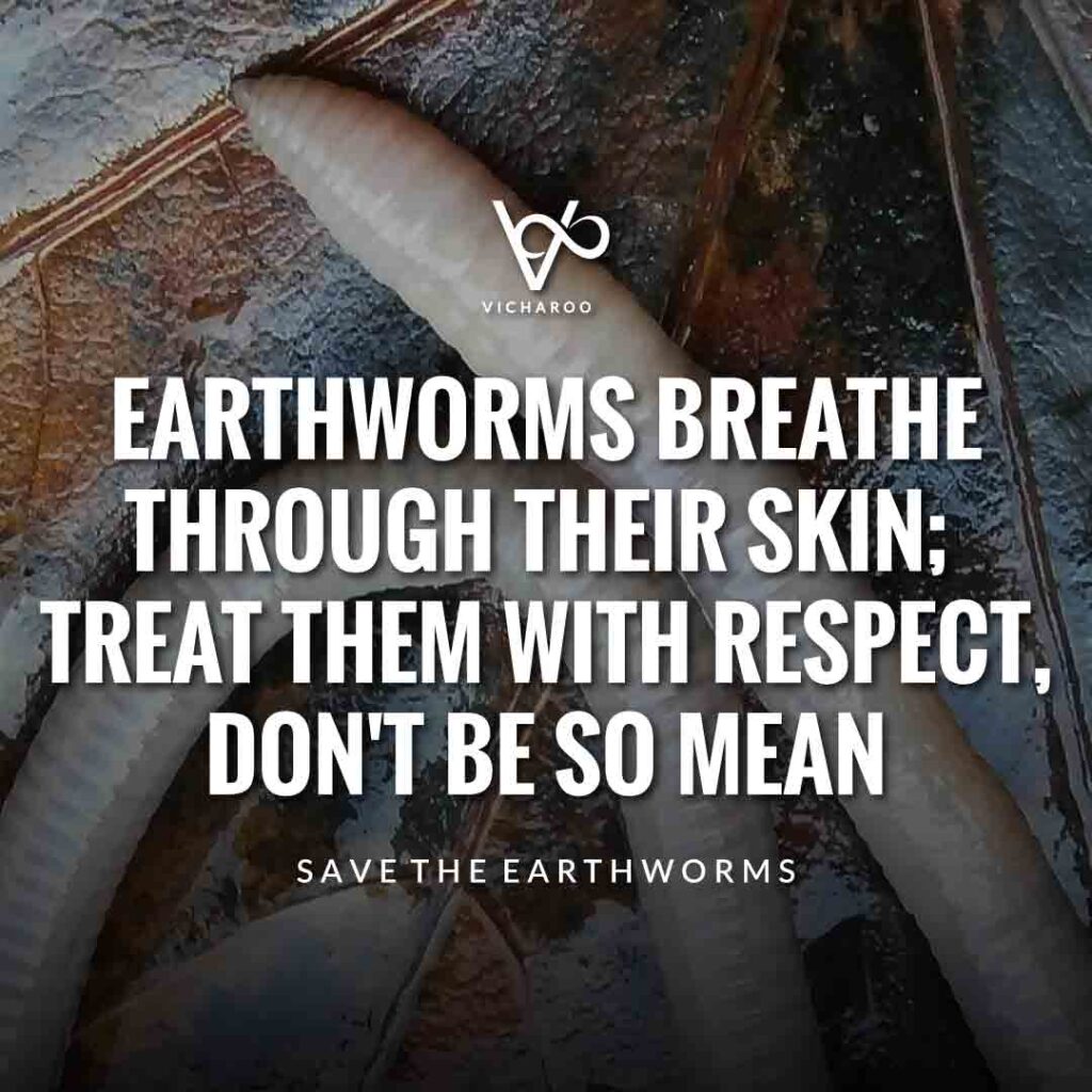 Earthworms breathe through their skin; treat them with respect, don't be so mean | Save Earthworms Slogans and Quotes | World Earthworm Day