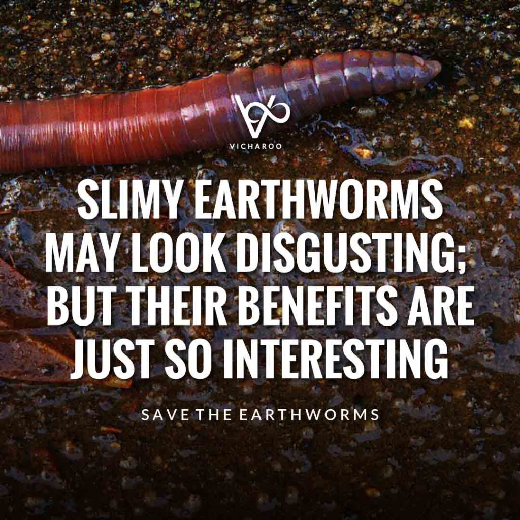 Slimy Earthworms may look disgusting; but their benefits are just so interesting | Save Earthworms Slogans and Quotes | World Earthworm Day