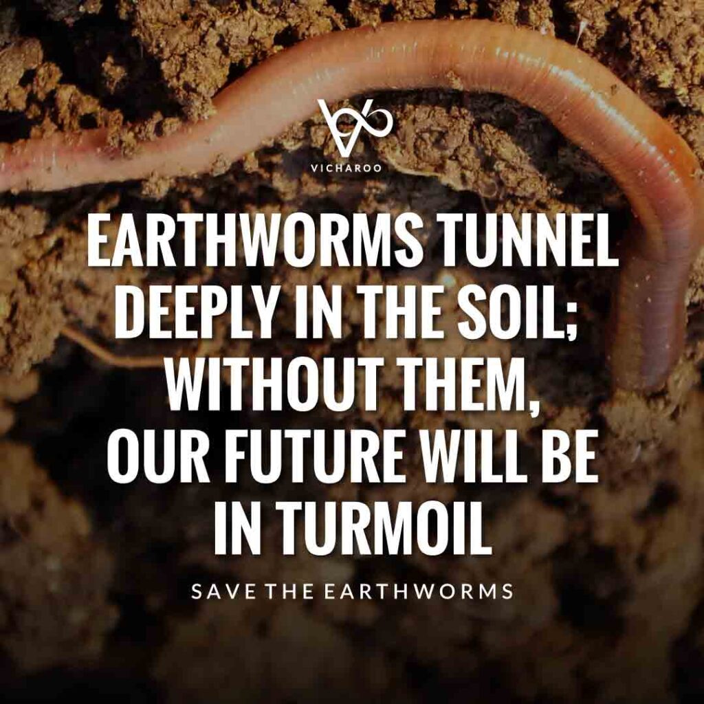 Earthworms tunnel deeply in the soil; without them, our future will be in turmoil | Save Earthworms Slogans and Quotes | World Earthworm Day