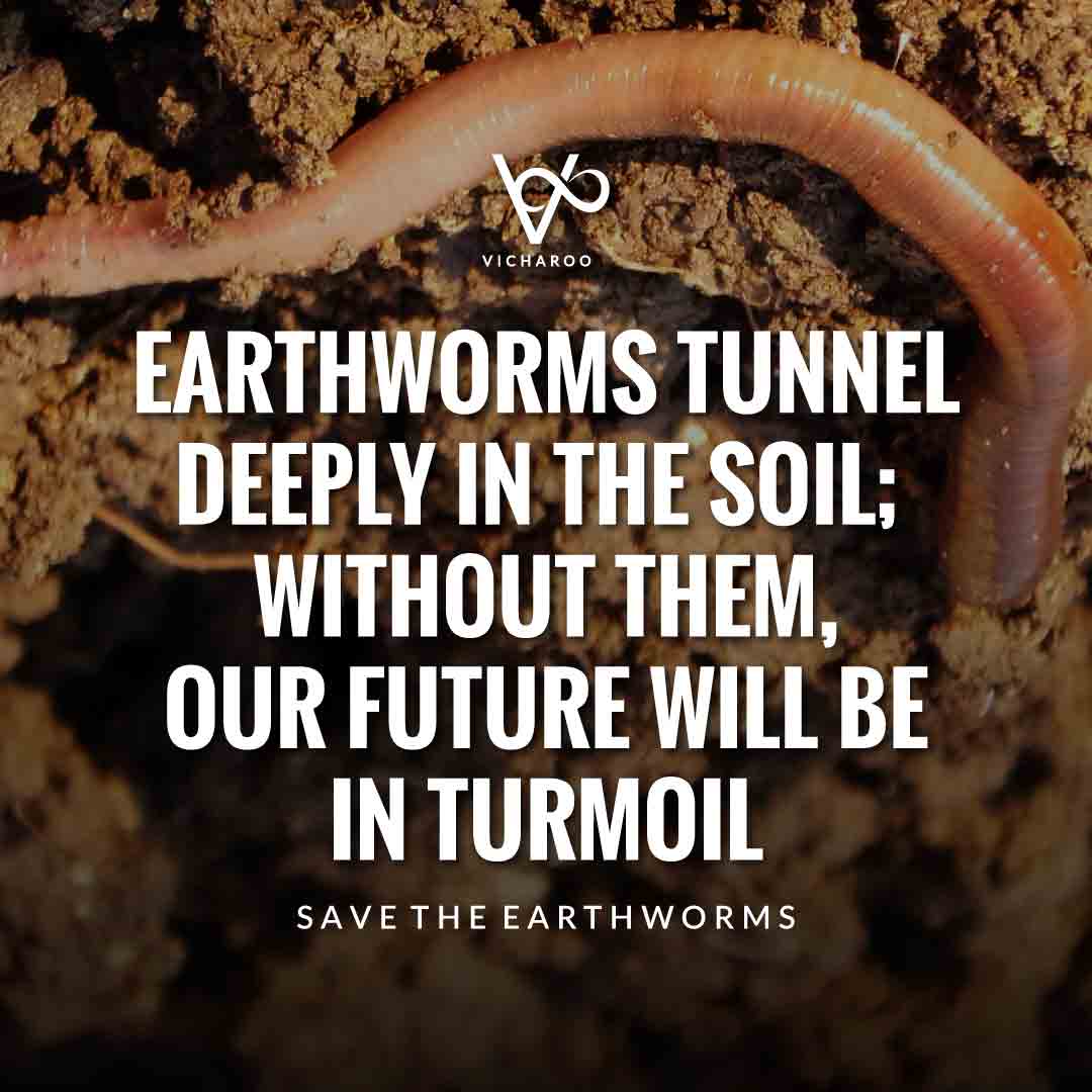 Earthworms tunnel deeply in the soil; without them, our future will be in turmoil | Save Earthworms Slogans and Quotes | World Earthworm Day