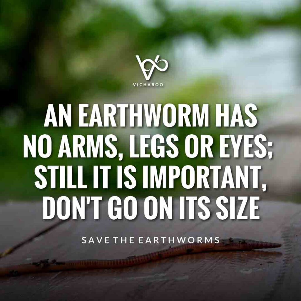 An Earthworm has no arms, legs or eyes; still it is important, don't go on its size | Save Earthworms Slogans and Quotes | World Earthworm Day