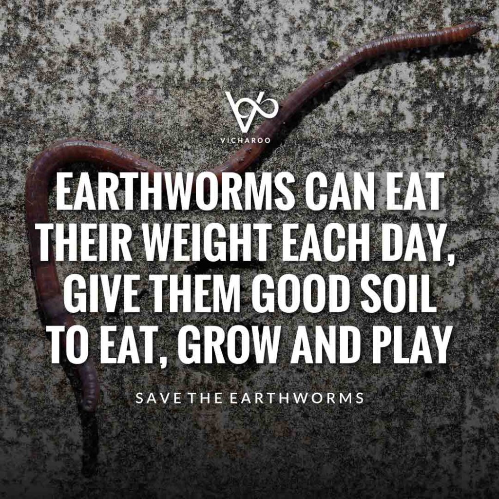 Earthworms can eat their weight each day, give them good soil to eat, grow and play | Save Earthworms Slogans and Quotes | World Earthworm Day