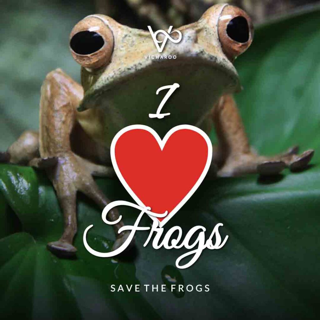 I love frogs | Save Frogs Slogans & Quotes | World Frog Day