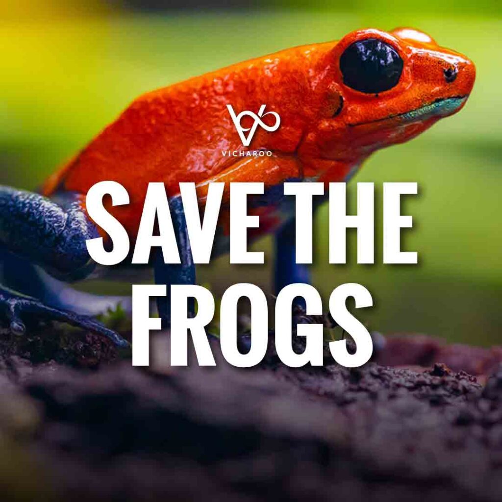 Save the frogs Slogans & Quotes | World Frog Day