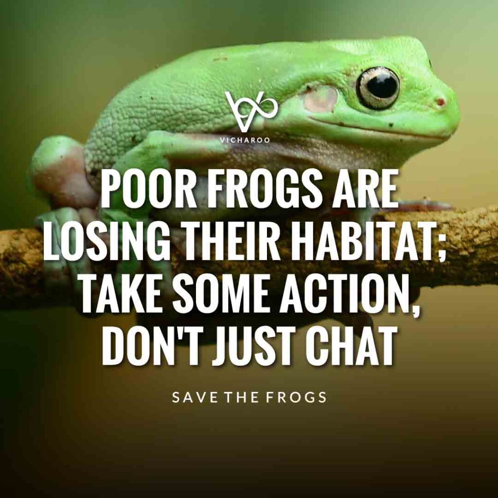 Poor frogs are losing their habitat; take some action, don't just chat | Save Frogs Slogans & Quotes | World Frog Day