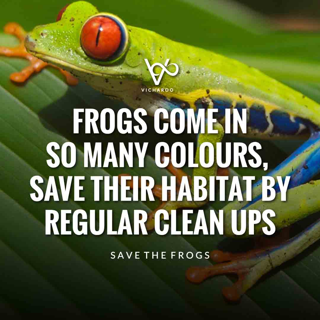 Frogs come in so many colours, save their habitat by regular clean ups | Save Frogs Slogans & Quotes | World Frog Day