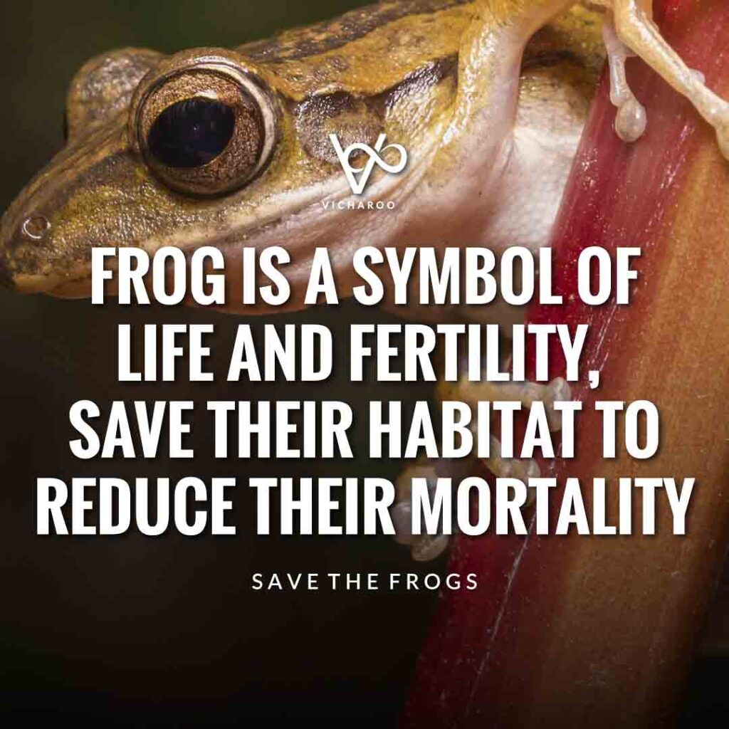 Frog is a symbol of life and fertility, save their habitat to reduce their mortality | Save Frogs Slogans & Quotes | World Frog Day