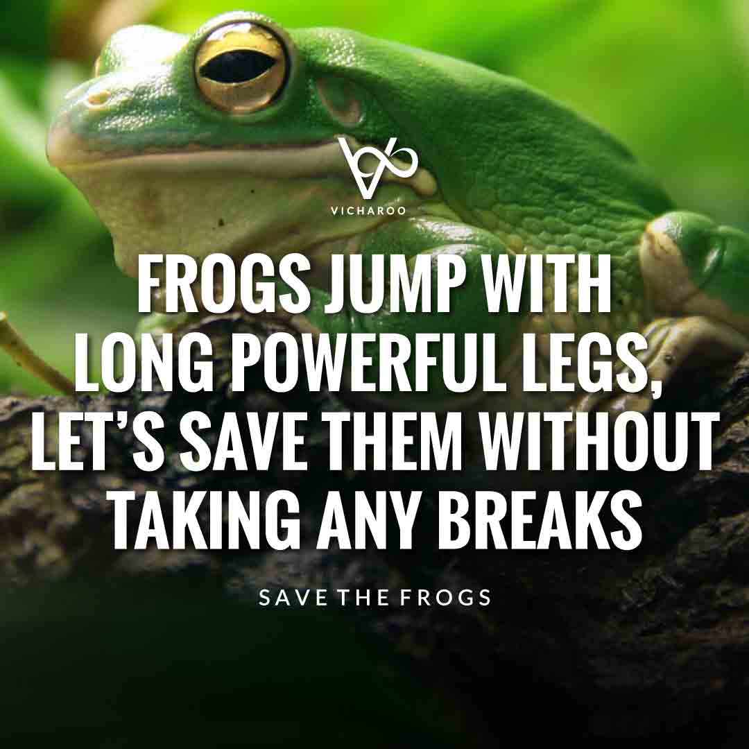 Frogs jump with long powerful legs, let's save them without taking any breaks | Save Frogs Slogans & Quotes | World Frog Day