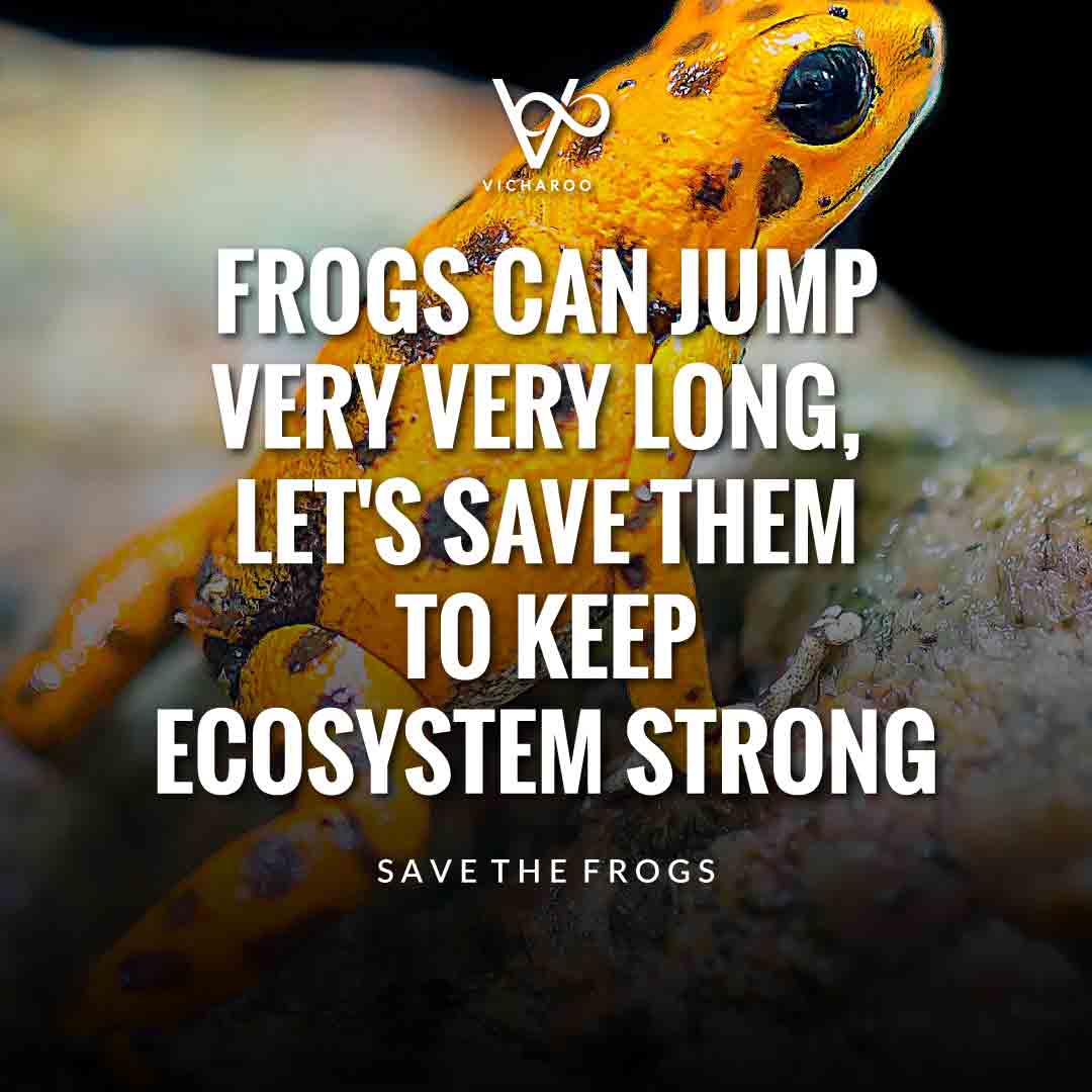 Frogs can jump very very long, let's save them to keep ecosystem strong | Save Frogs Slogans & Quotes | World Frog Day