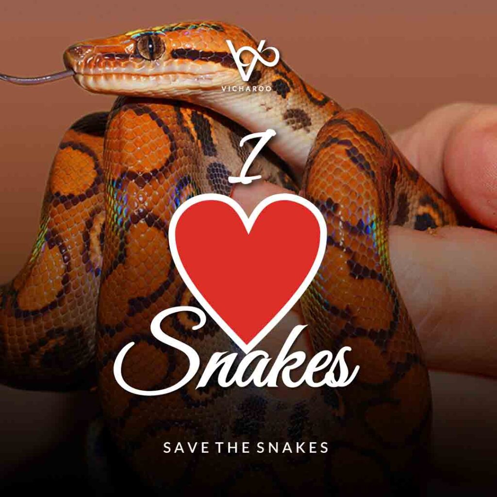 I love Snakes | Save Snakes Slogans & Quotes | World Snake Day