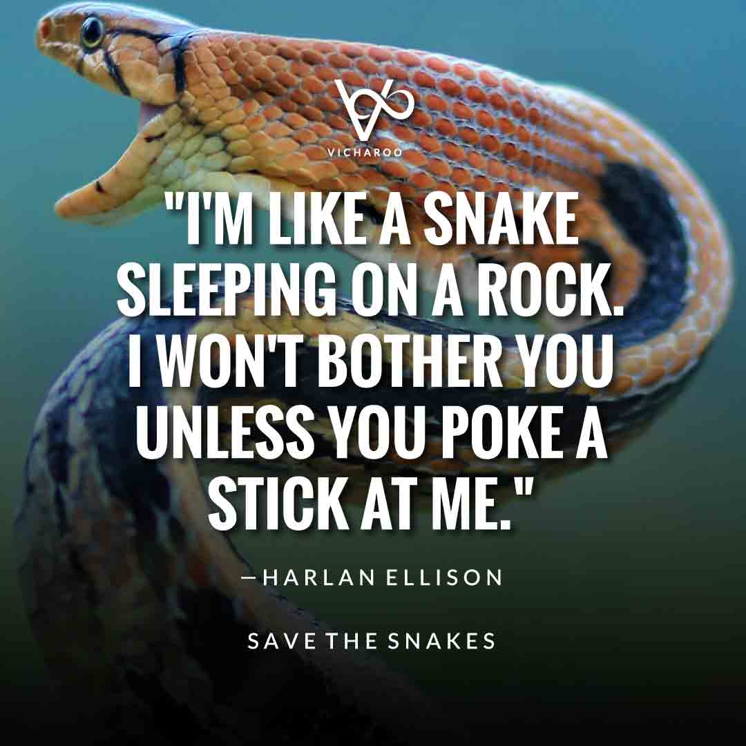 I'm like a snake sleeping on a rock. I won't bother you unless you poke a stick at me. — Harlan Ellison | Save Snakes Slogans & Quotes | World Snake Day