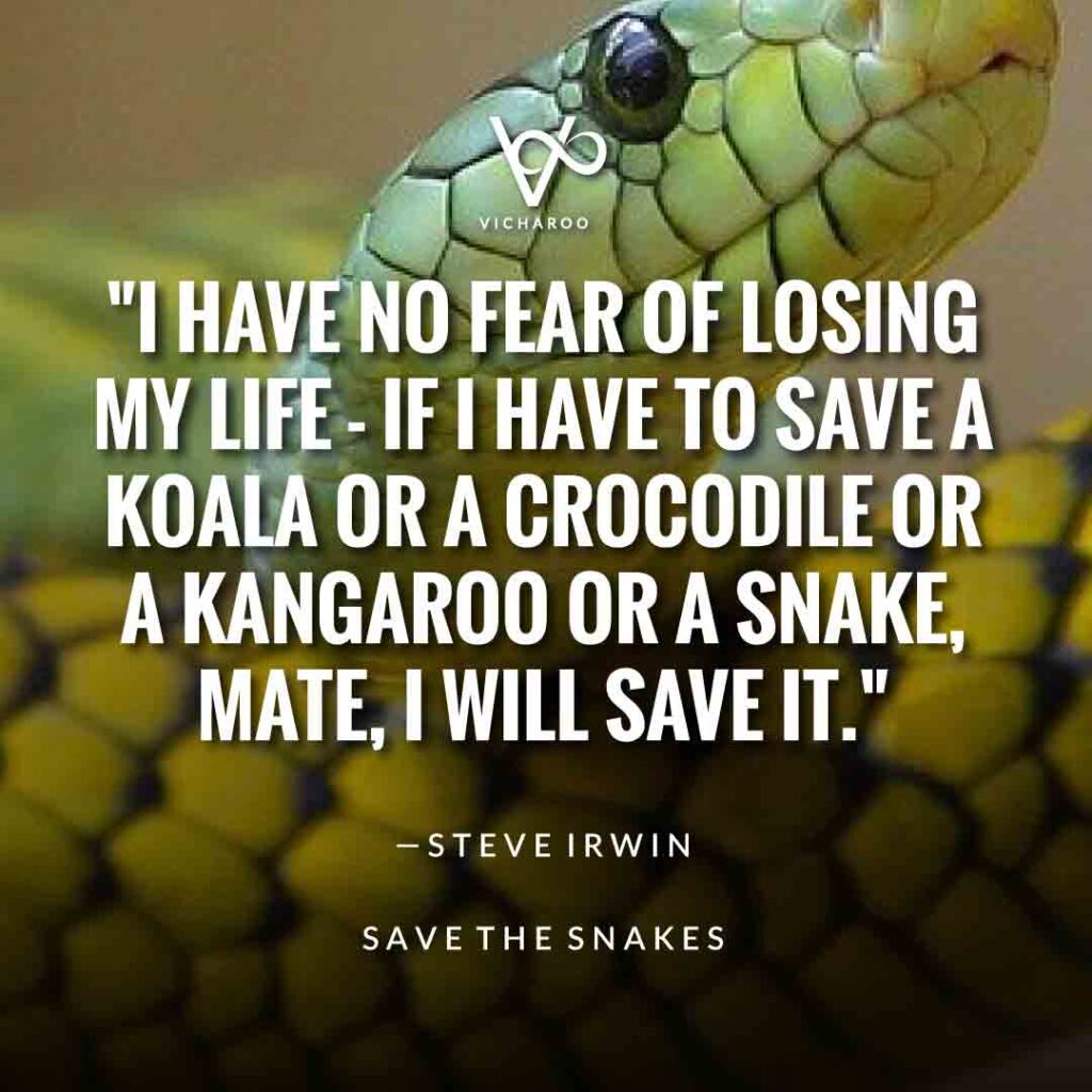 I have no fear of losing my life - if I have to save a koala or a crocodile or a kangaroo or a snake, mate, I will save it. — Steve Irwin | Save Snakes Slogans & Quotes | World Snake Day