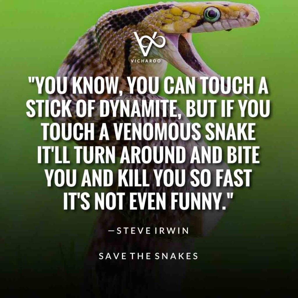 You know, you can touch a stick of dynamite, but if you touch a venomous snake it'll turn around and bite you and kill you so fast it's not even funny. — Steve Irwin | Save Snakes Slogans & Quotes | World Snake Day