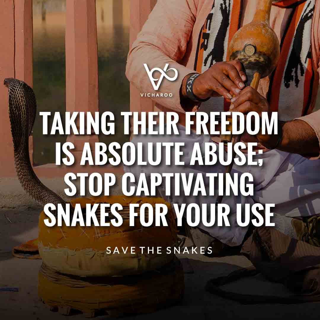 Taking their freedom is absolute abuse; stop captivating snakes for your use | Save Snakes Slogans & Quotes | World Snake Day