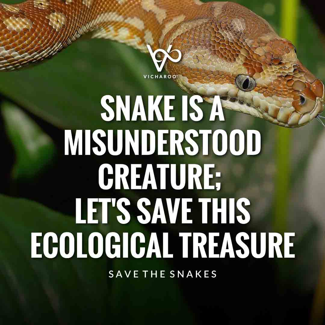 Snake is a misunderstood creature; let's save this ecological treasure | Save Snakes Slogans & Quotes | World Snake Day