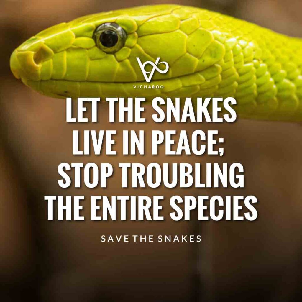 Let the snakes live in peace; stop troubling the entire species | Save Snakes Slogans & Quotes | World Snake Day