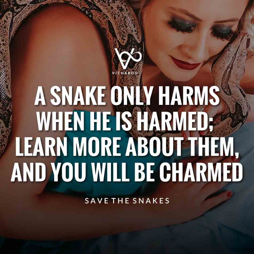 A snake only harms when he is harmed; learn more about them, and you will be charmed | Save Snakes Slogans & Quotes | World Snake Day