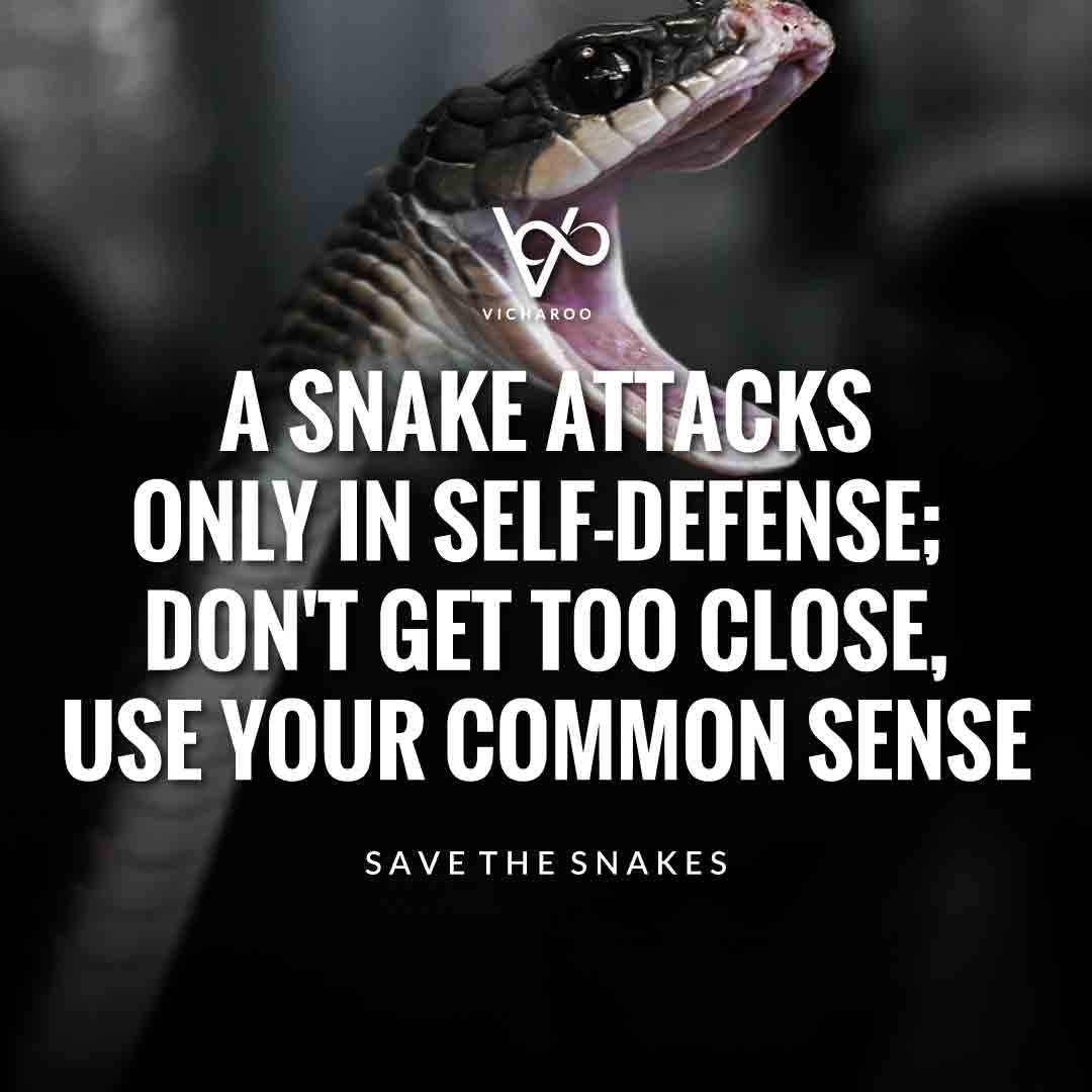A snake attacks only in self-defense; don't get too close, use your common sense | Save Snakes Slogans & Quotes | World Snake Day