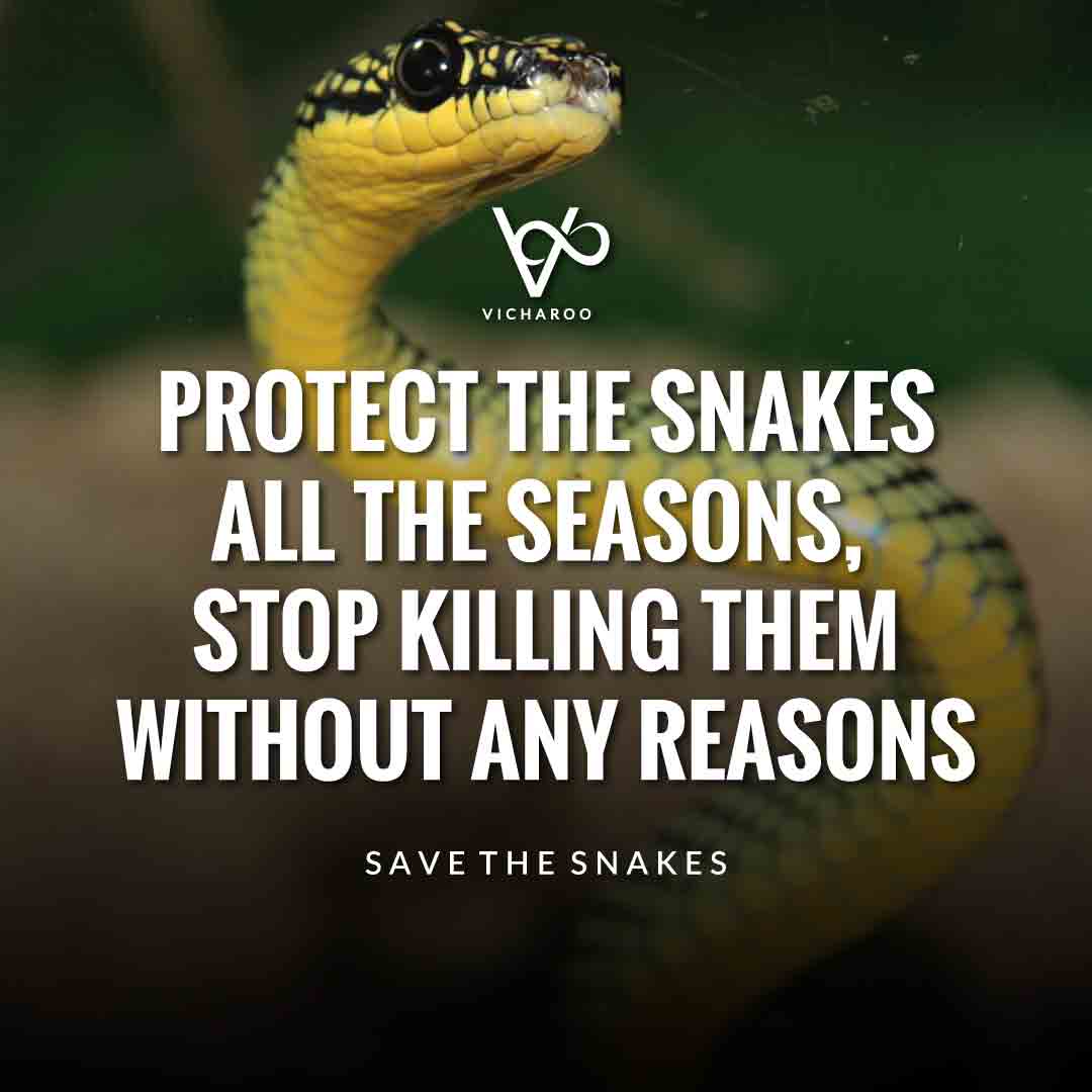 Protect the snakes all the seasons, stop killing them without any reasons | Save Snakes Slogans & Quotes | World Snake Day