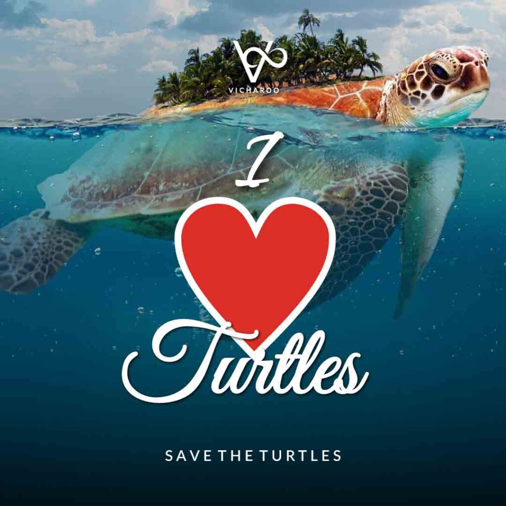 I love turtles | Save Turtles Slogans & Quotes | World Sea Turtle Day