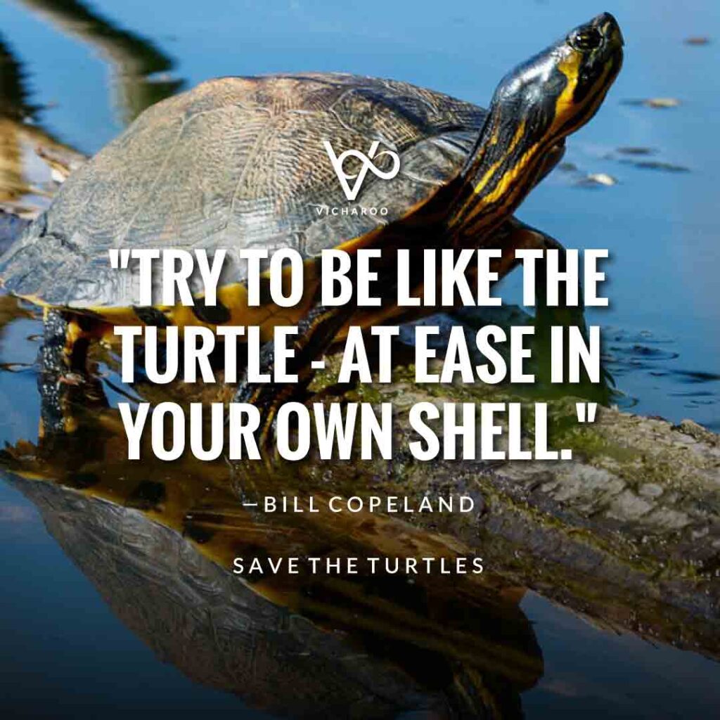 Try to be like the turtle - at ease in your own shell. — Bill Copeland | Save Turtles Slogans & Quotes | World Sea Turtle Day