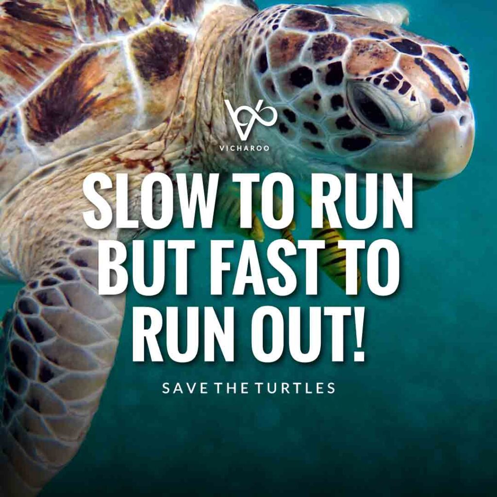 Slow to run but fast to run out | Save Turtles Slogans & Quotes | World Sea Turtle Day